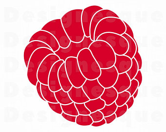 340x270 Raspberry Vector Etsy