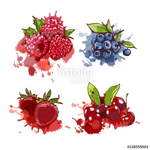 500x500 Cliparts For Free Download Raspberry Clipart Vector Strawberry