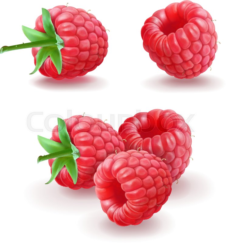 744x800 Raspberry Vector Icons Set Realistic Stock Vector Colourbox