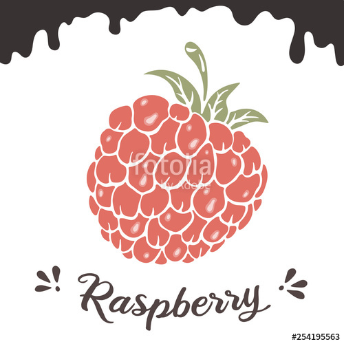 500x500 Raspberry Vector Illustration, Berry Clipart Raspberry Vintage