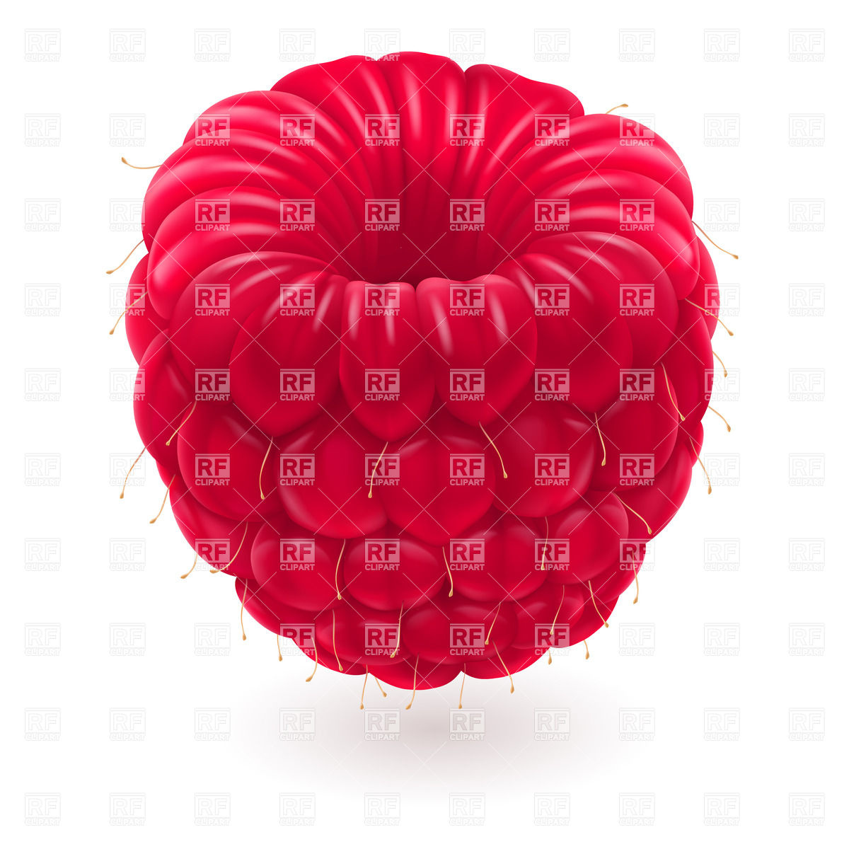 1200x1200 Realistic Raspberry Vector Image Of Food And Beverages Dvarg