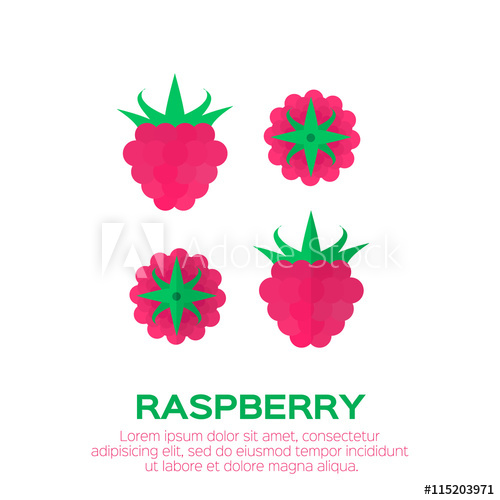 500x500 Ripe Raspberry Icon Berries On White Background Summer Set