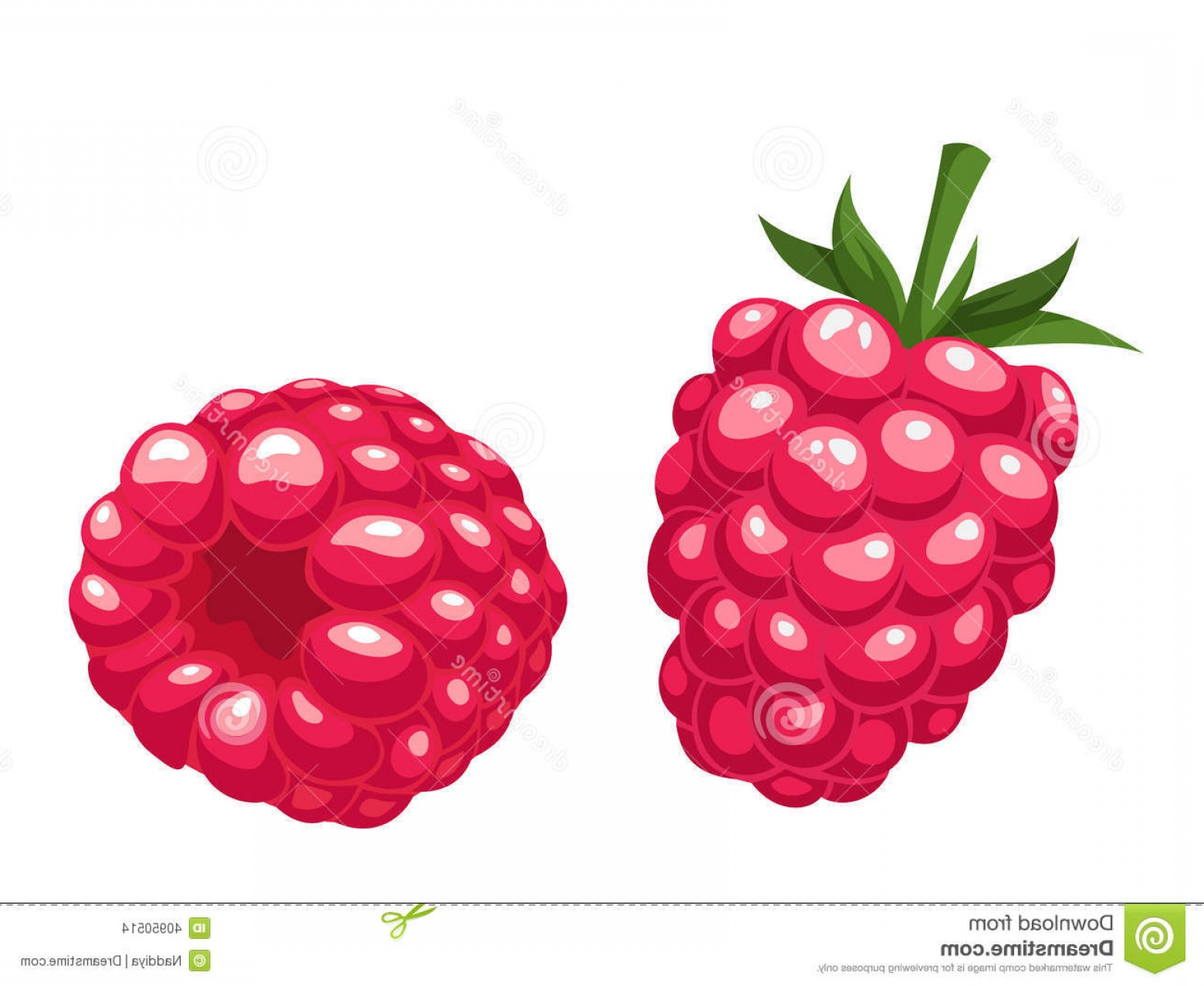 1560x1278 Stock Illustration Raspberry Vector Illustration Red Raspberries
