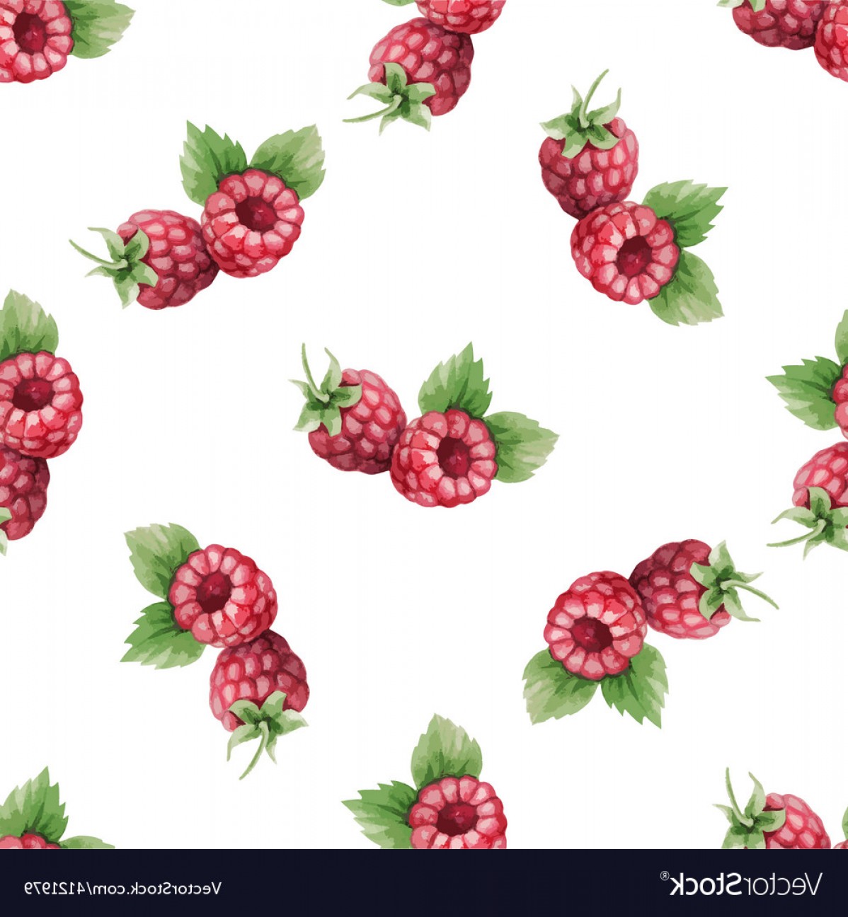 1198x1296 Watercolor Pattern Of Fruit Raspberry Vector Soidergi