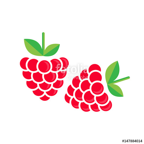 500x500 Raspberry Vector Stock Image And Royalty Free Vector
