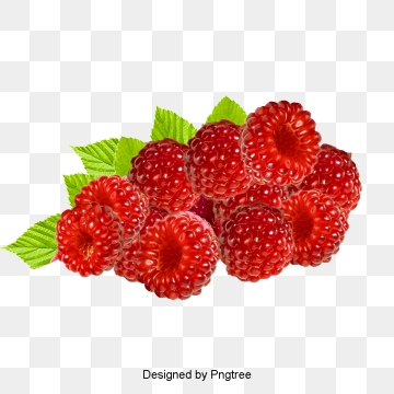 360x360 Raspberry Png, Vector, And Clipart With Transparent