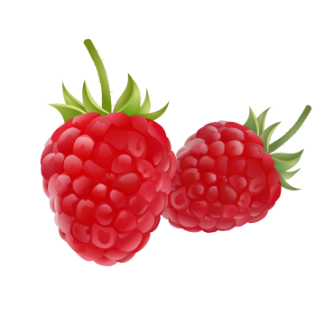 360x360 Raspberry Png, Vector, And Clipart With Transparent