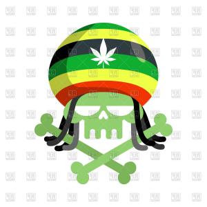 300x300 Stock Illustration Rasta Lion Vector Theme Head White Background