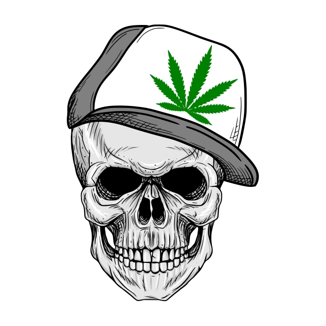 640x640 Skull Wearing Rasta Hat Skull Hand Drawing Vector, Art, Bone, Boy