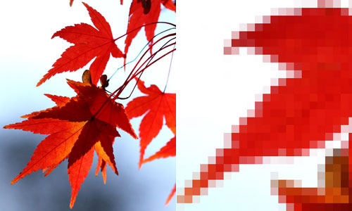 500x300 Vector Graphics Or Raster Images What Is The Difference Between Them