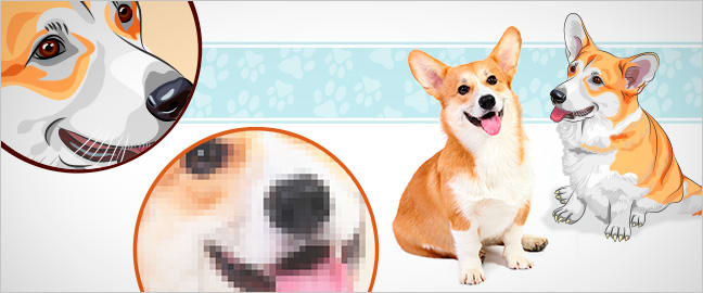 648x270 What's The Difference Between Raster And Vector