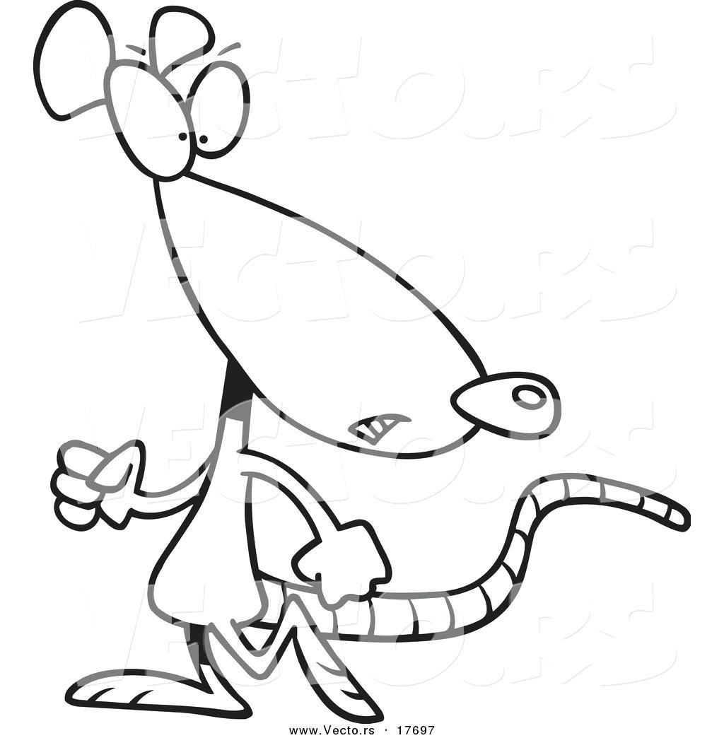 Rat Coloring 1024x1044 Rat Coloring
