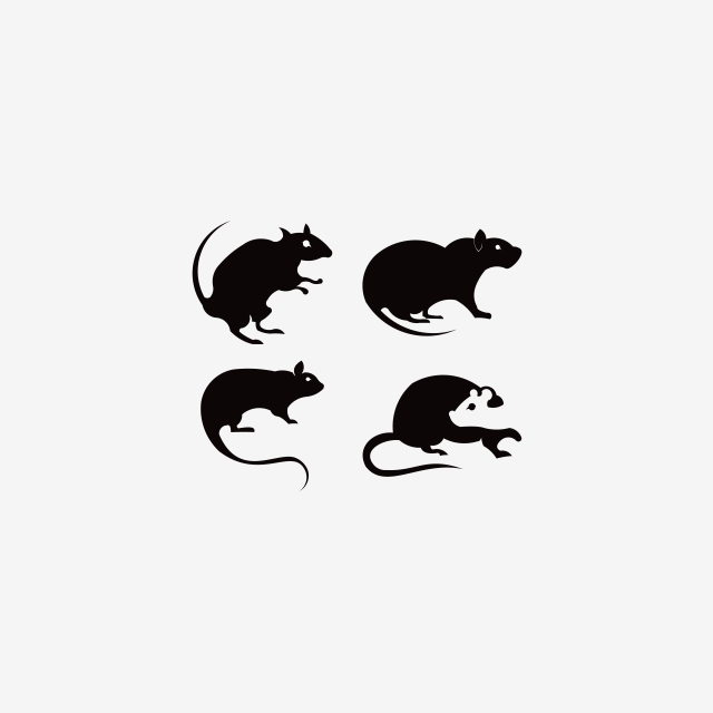 640x640 Rat And Mouse Vector Silhouette Inspiration Logo Animal, Chinese