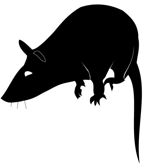 487x545 Rat Silhouette Free Vector Graphic Free Download