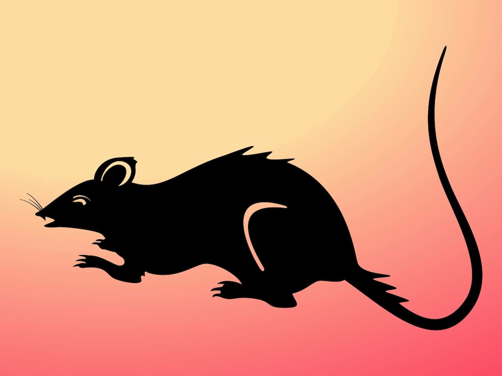 1024x768 Rat Silhouette Vector Art Graphics