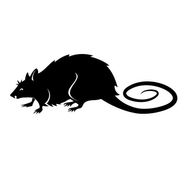 626x626 Black Rat Vector Illustration Vector Free Download