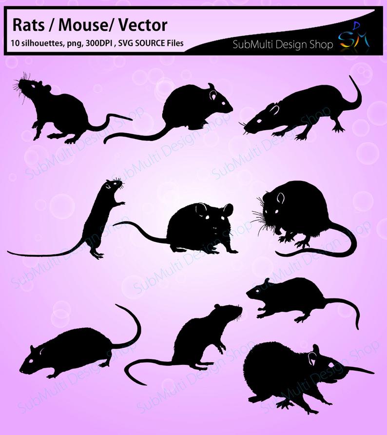 794x892 Rat Silhouette Vector Rat Source Png Mouse
