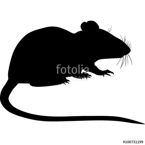 500x500 Silhouette Of A Rat Stock Image And Royalty Free Vector