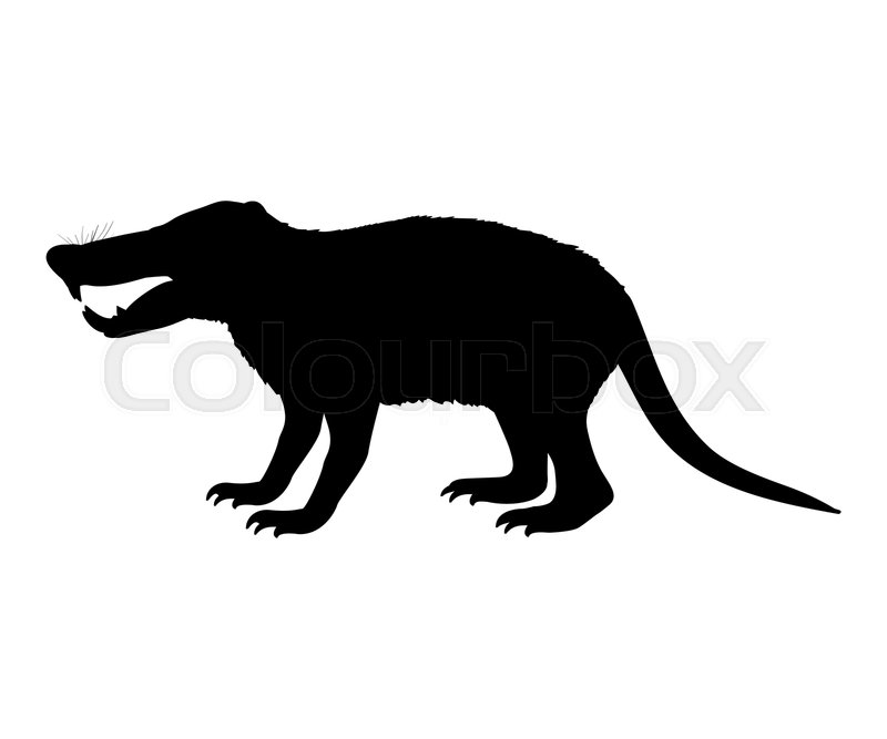 800x667 Deinogalerix Hedgehog Rat Silhouette Stock Vector Colourbox