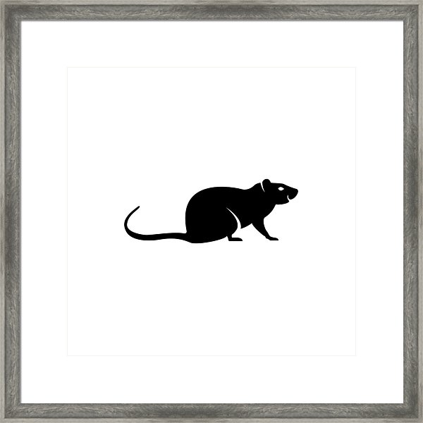 600x600 Vector Rat Silhouette View Side For Retro Icons, Emblems, Badges