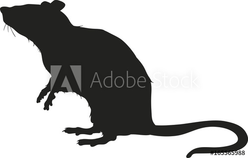 500x319 Vector Silhouette Of A Rat
