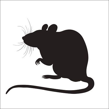415x417 Picture Of Silhouette Of A Rat Vector Art Illustration Beauty