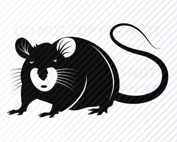 570x456 Mouse Clipart Clip Art Silhouette Vector Images Etsy