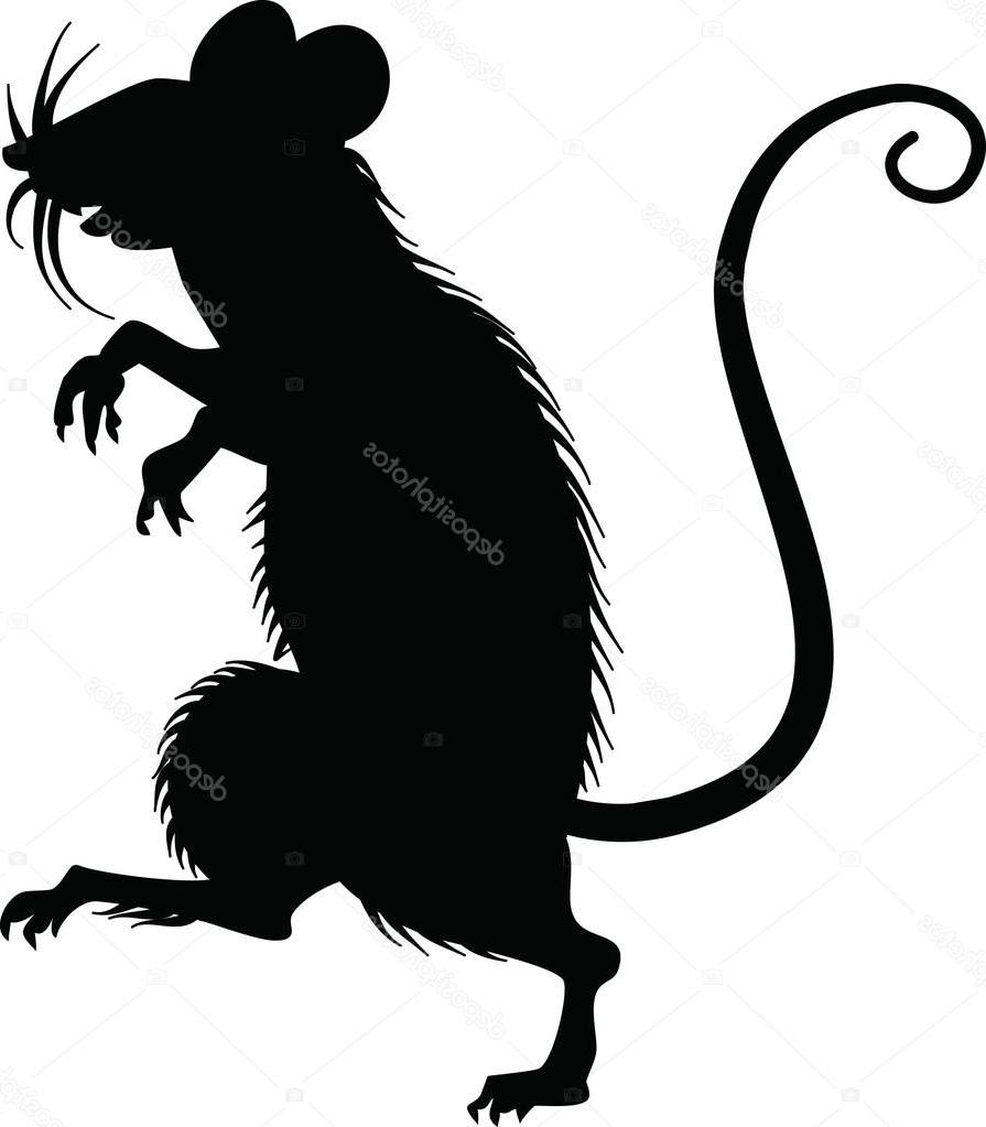 895x1023 Hd Black And White Rat Vector Image Free Vector Art, Images