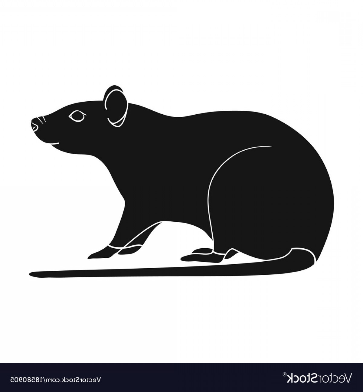 1200x1296 Rat Vector Icon Hoodamathrun
