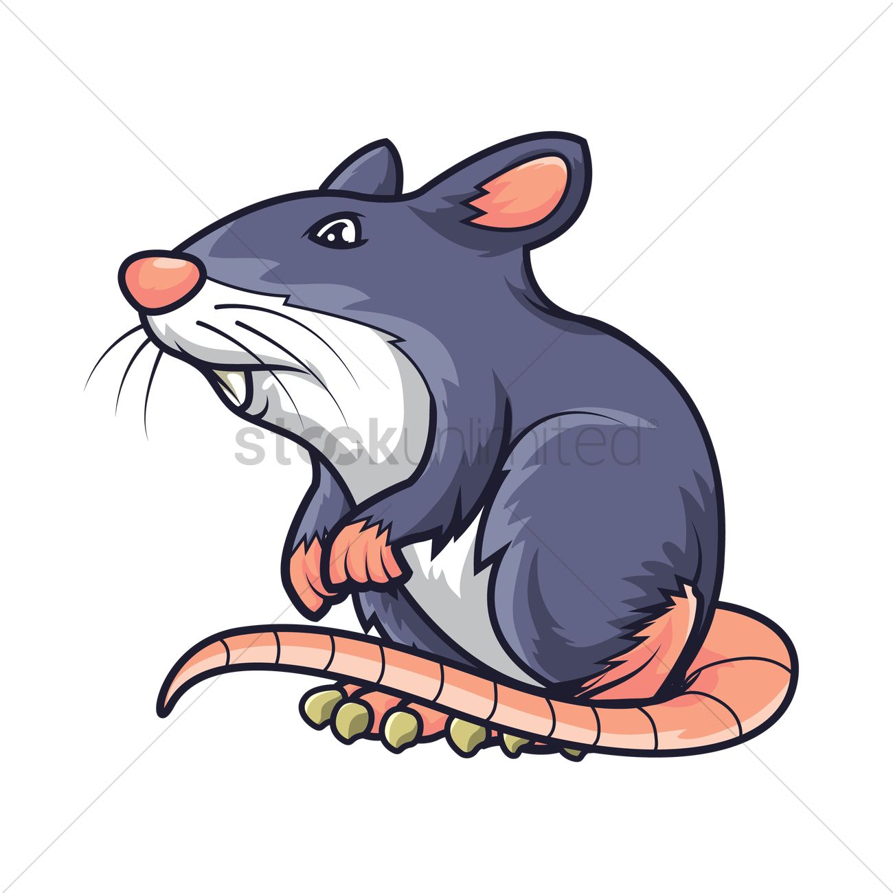 1300x1300 Rat Vector Image
