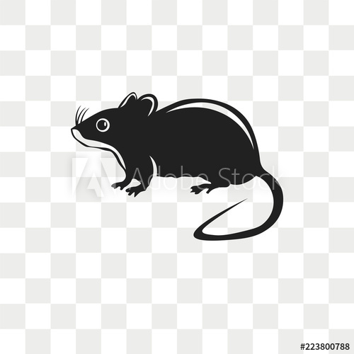 500x500 Rat Vector Icon Isolated On Transparent Background, Rat Logo