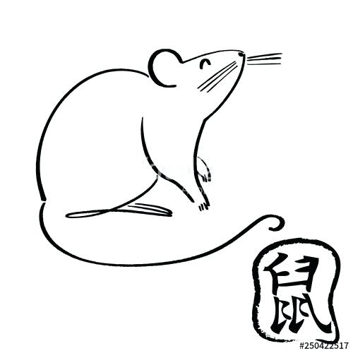 500x500 Drawing Of Rat