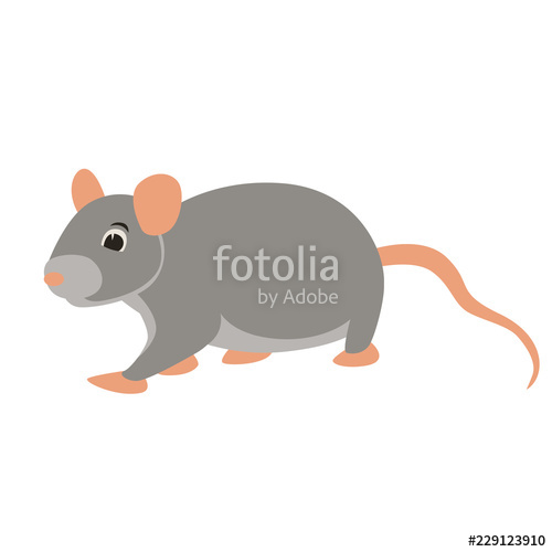 500x500 Rat Vector Illustration Flat Style Profile Side Stock Image
