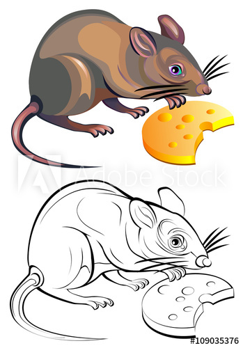 349x500 Colorful Black And White Pattern Of Rat, Vector Cartoon Image