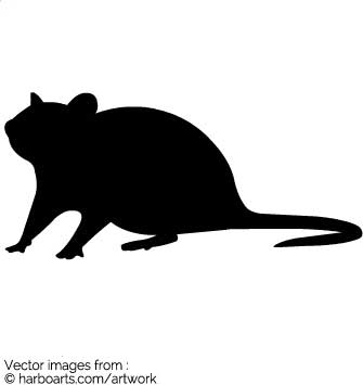 335x355 Download Rat Silhouette