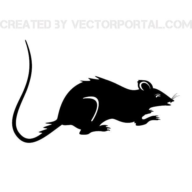 660x660 Rat Free Vector Image