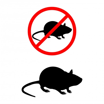 360x360 Rat Png Images Vector And Free Download
