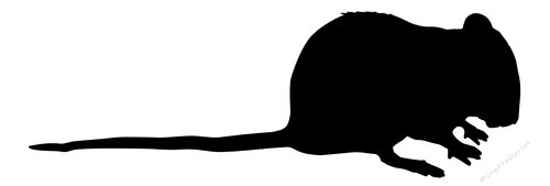 500x169 Rat Silhouette Vector Rat Source Png Mouse Mouse