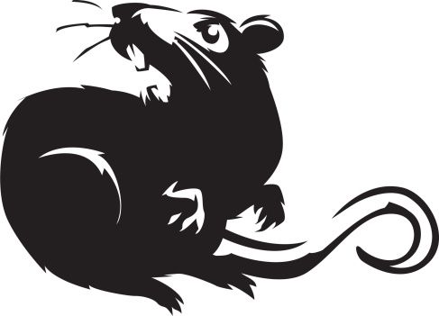 487x351 Hissing Rat Vector Art Illustration Block Prints Rats