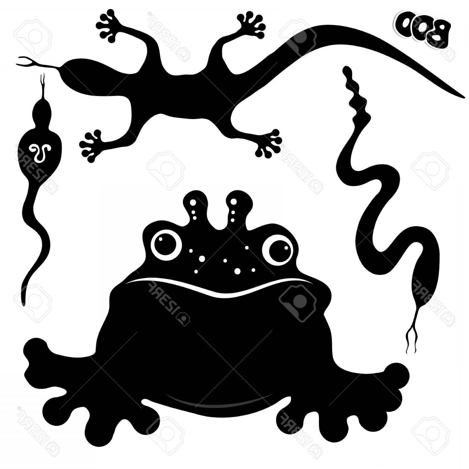 1560x1560 Rattlesnake Vector Designs Createmepink