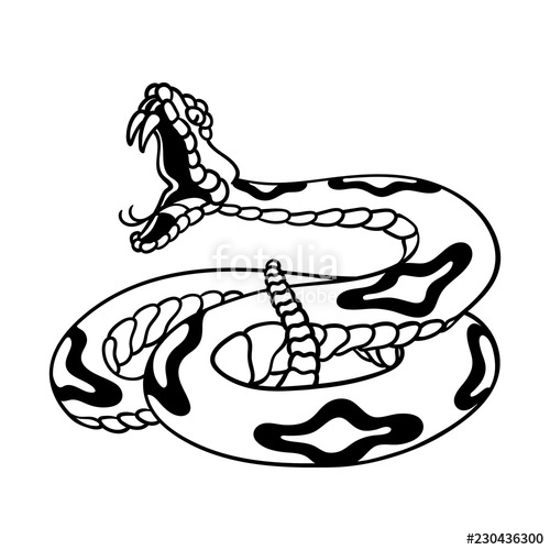 Rattlesnake Vector at Vectorified.com | Collection of Rattlesnake ...