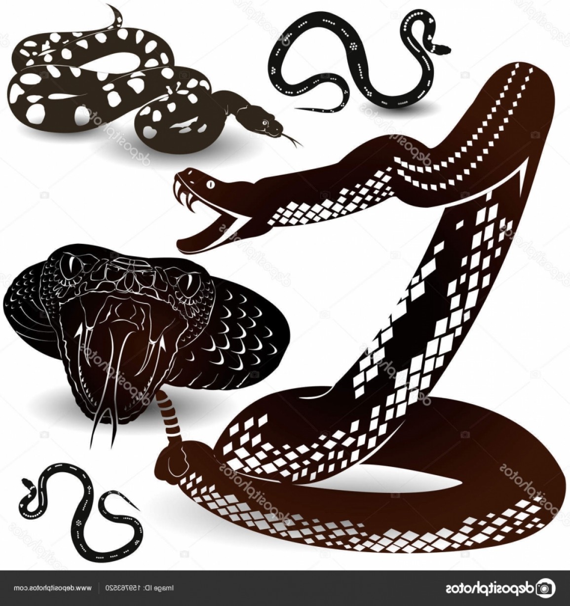 Download Rattlesnake Vector at Vectorified.com | Collection of ...