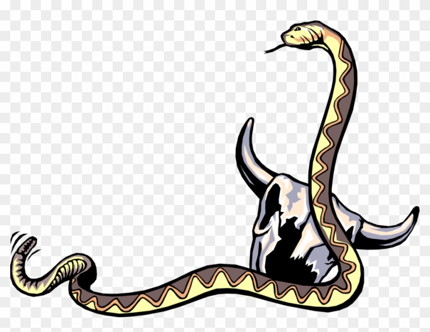 840x648 Vector Illustration Of Reptile Rattle Snake With Cattle