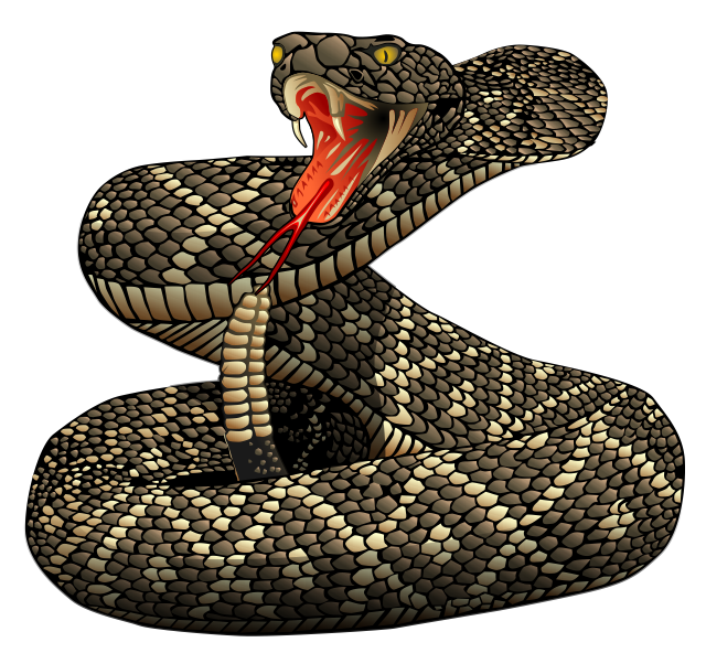 640x592 Rattlesnake Vector Viper Huge Freebie! Download For Powerpoint