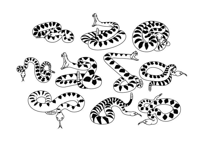 700x490 Free Rattlesnake Vector