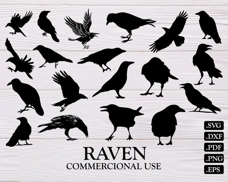 Raven Raven Dxf Raven Silhouette Raven Design Print Etsy 794x635 Raven Raven Dxf Raven Silhouette Raven Design Print Etsy