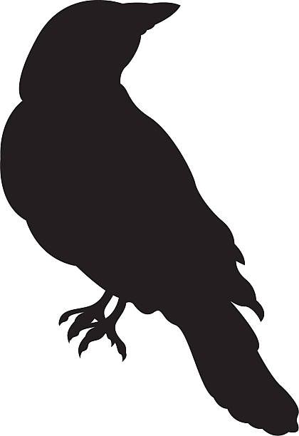 Raven In Silhouette Vector Art Illustration Ravens Raven Bird 420x612 Raven In Silhouette Vector Art Illustration Ravens Raven Bird
