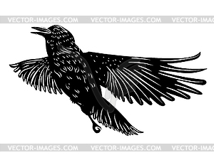 Black Raven Silhouette 300x225 Black Raven Silhouette