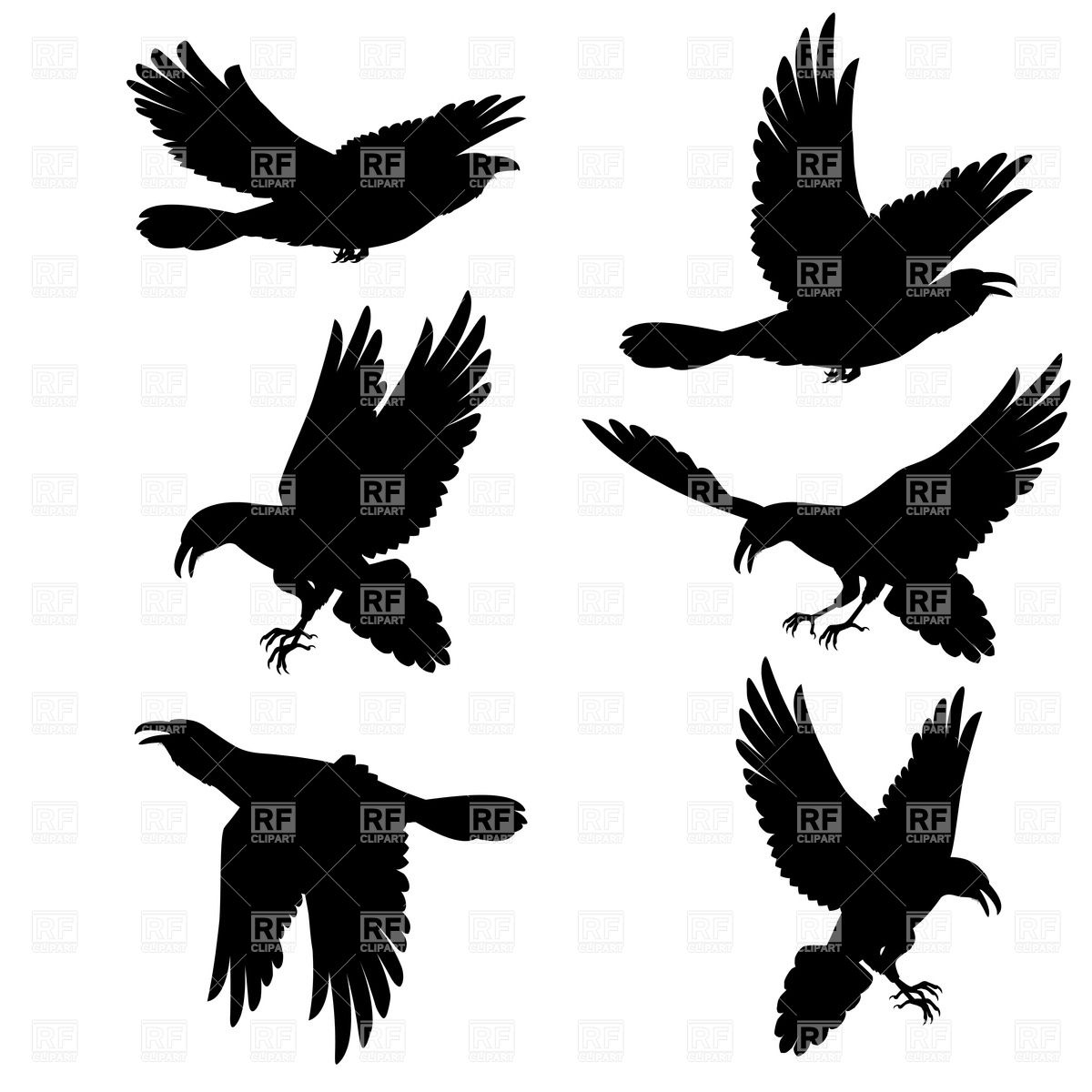 Silhouettes Of Flying Ravens Vector Image Of Silhouettes, Outlines 1200x1200 Silhouettes Of Flying Ravens Vector Image Of Silhouettes, Outlines