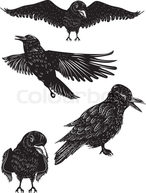 Stylized Silhouette Of A Black Raven, Stock Vector Colourbox 607x800 Stylized Silhouette Of A Black Raven, Stock Vector Colourbox